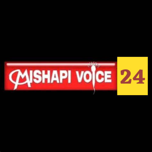 Logo Mishapi 24