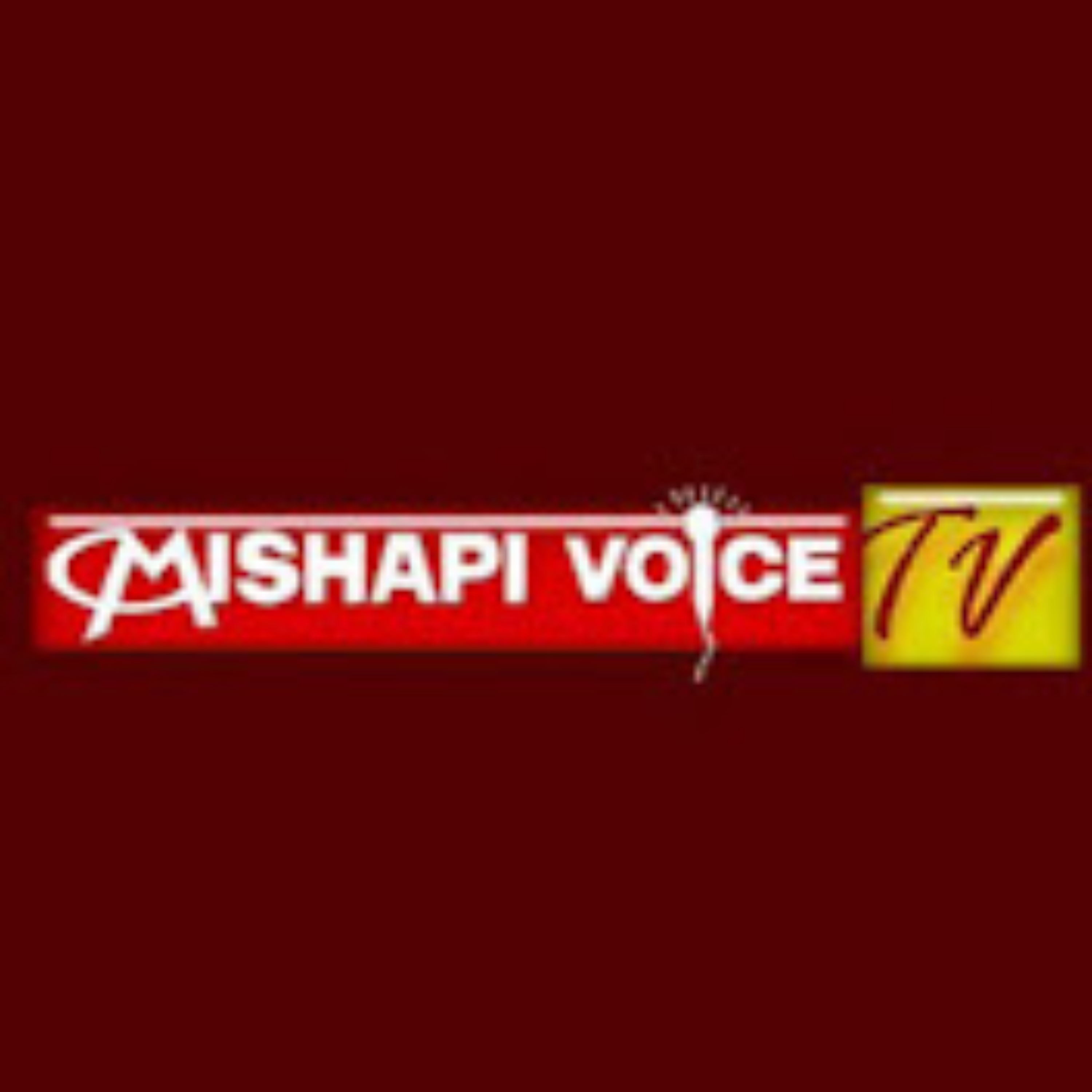 Logo Mishapi voice TV